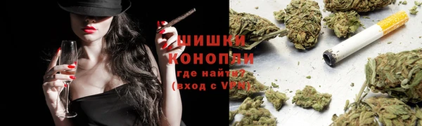 PSILOCYBIN Гусиноозёрск