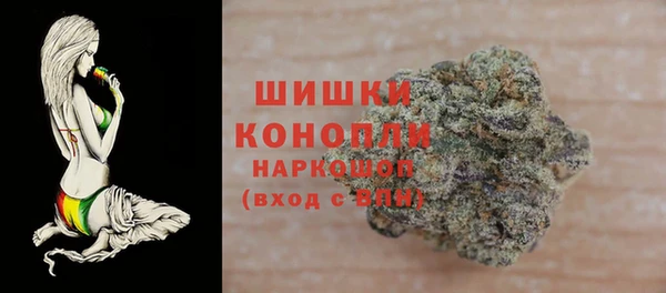 СК Гусь-Хрустальный