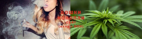 ECSTASY Гусев