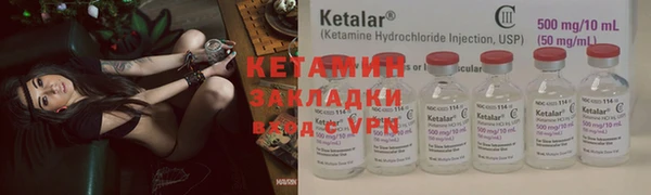 PSILOCYBIN Гусиноозёрск