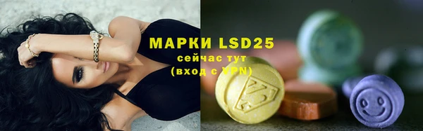 ECSTASY Гусев