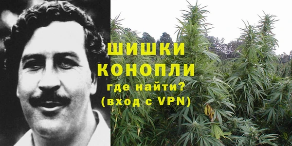 ECSTASY Гусев