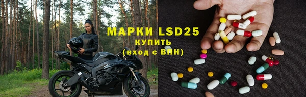ECSTASY Гусев