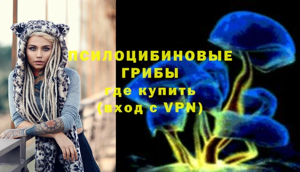 герыч Сатка