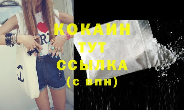 СК Гусь-Хрустальный